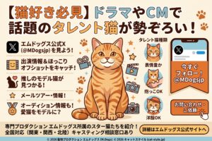 エムドッグス公式X（@MDogsjp）では、所属するタレント猫・タレント犬の最新出演情報がタイムリーに更新されています。有名ブランドのCMや大ヒットドラマ、人気雑誌の撮影裏話など、オンエア前にチェックできる情報も盛りだくさんです。