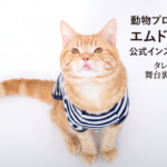 動物プロダクション エムドッグス 公式インスタグラムのご紹介
